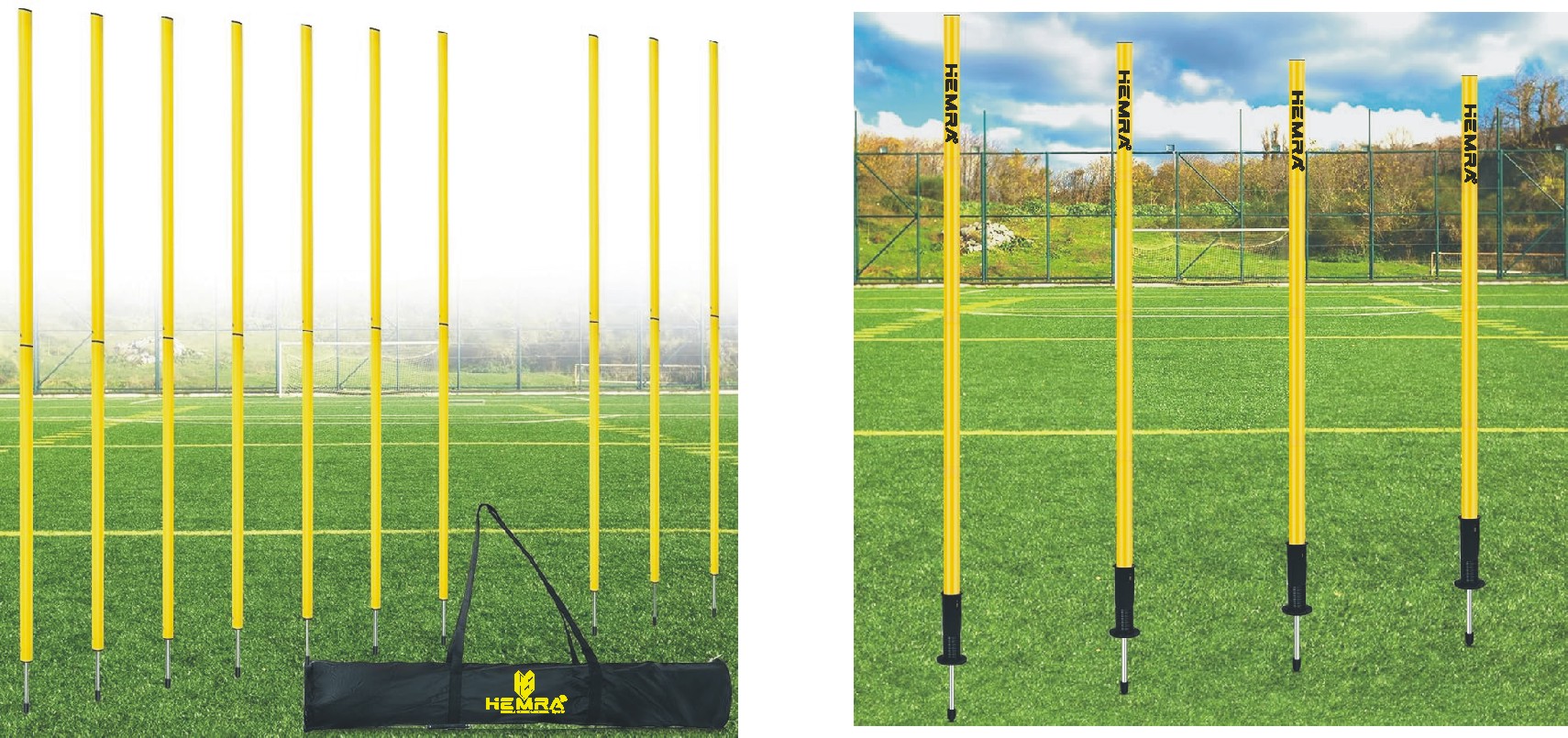 RIE- TRAINING POLE 